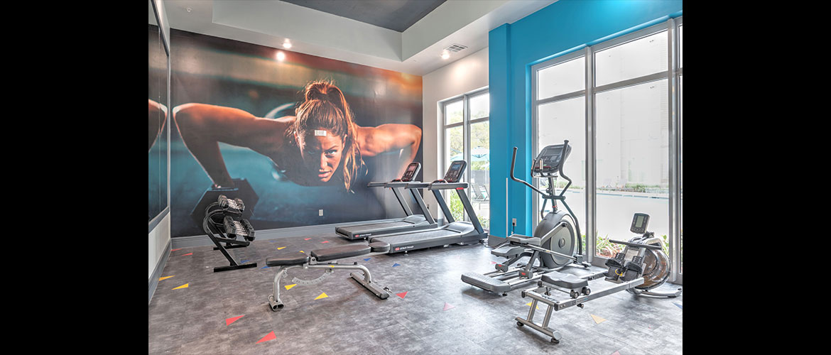 The Lofts • The Icon