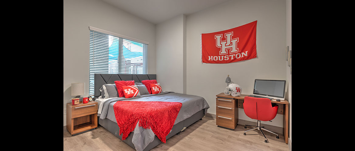 The Lofts • The Icon