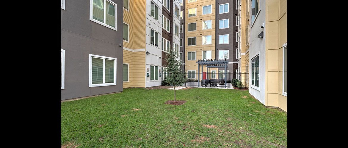 The Lofts • The Icon