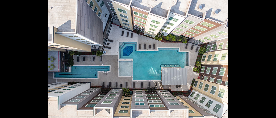 The Lofts • The Icon